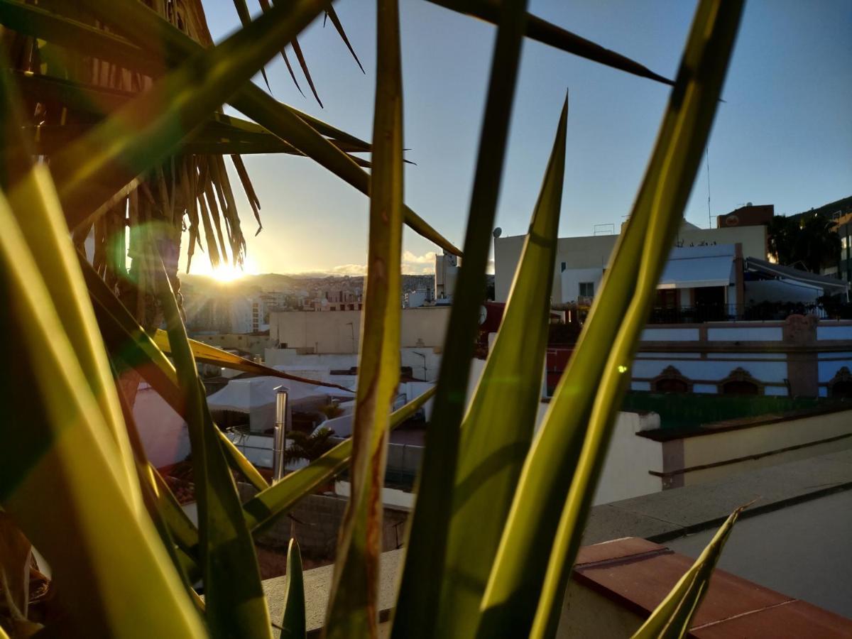 Terraza Del Atlantico, Un Oasis En La Ciudad Apartment Santa Cruz de Tenerife Exterior photo